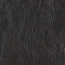 Brentwood Classics Dorado Stationary Leather Sofa L1024-38 IMAGE 2