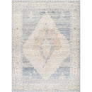 Surya Rugs Rectangle BONC2300-537 IMAGE 1