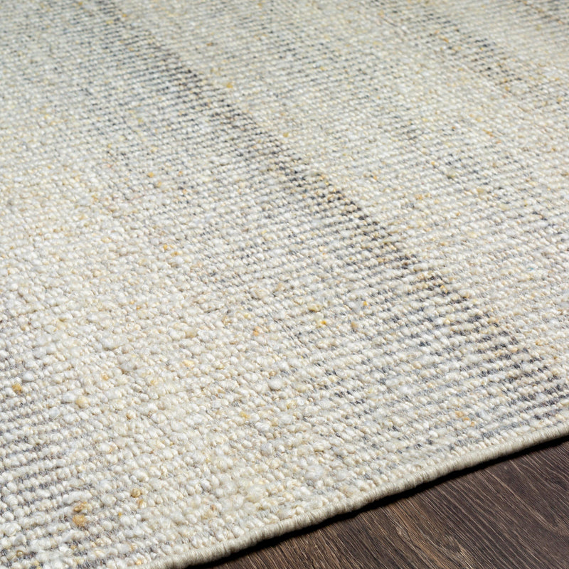 Surya Rugs Rectangle SID2302-576 IMAGE 3