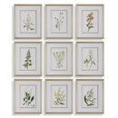 Curated 32339 Botanical Flowers Prints, Set of 9