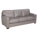 Leather Craft Sara A Stationary Leather Sofa SARAA-38 IMAGE 1